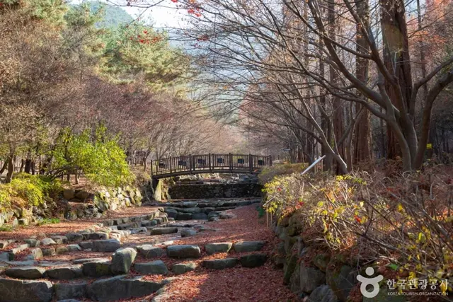 상소동 산림욕장 사진