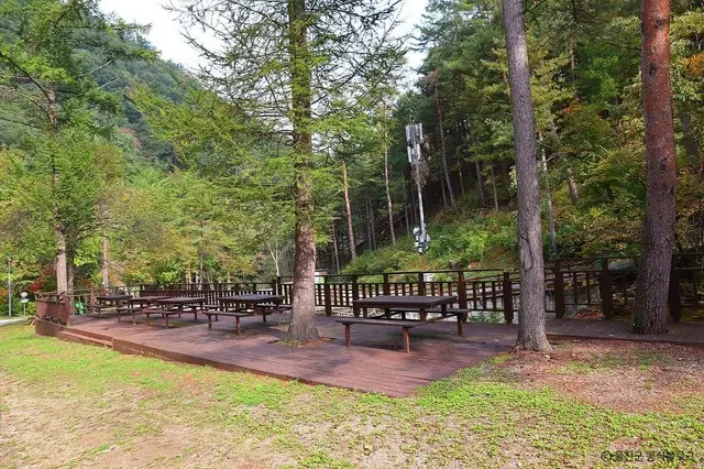 국립 통고산자연휴양림 사진