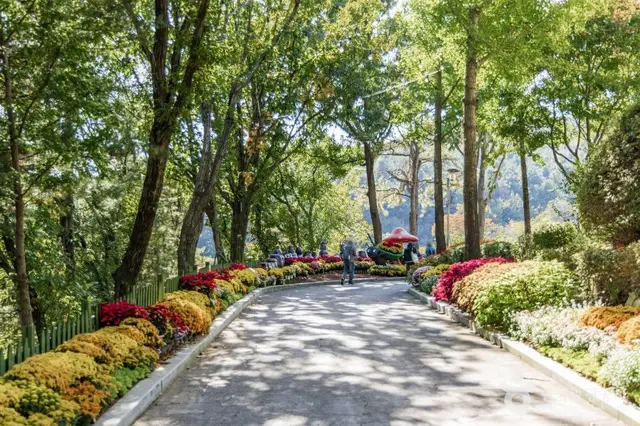 용인농촌테마파크 사진
