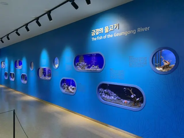 금강미래체험관 사진
