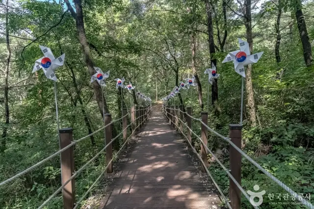 한반도지형전망대 사진