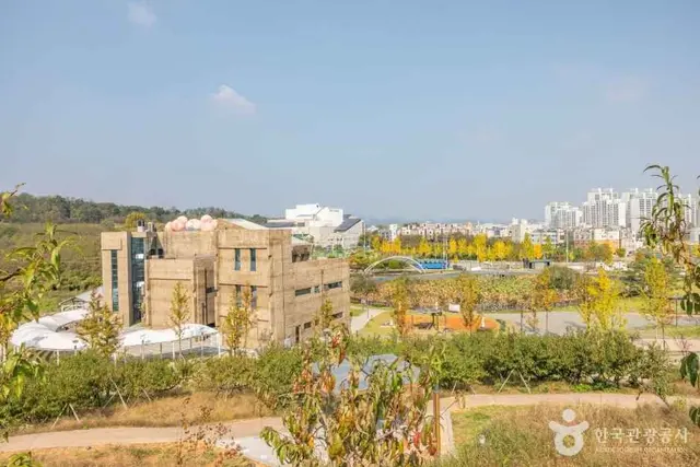 농촌테마공원 도도리파크 사진