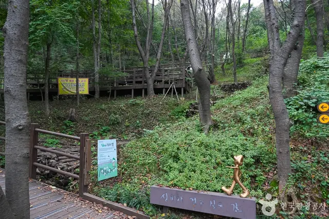 계양산 산림욕장 사진