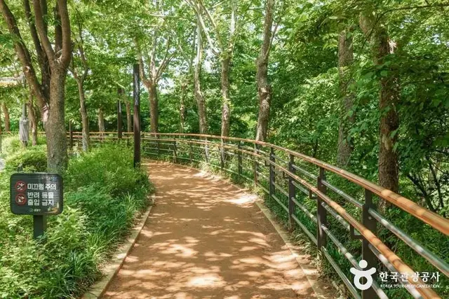 용마폭포공원 사진