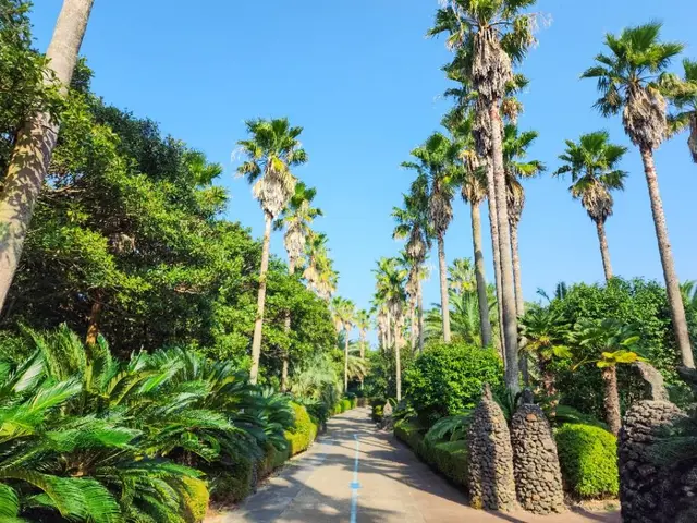 일출랜드 사진