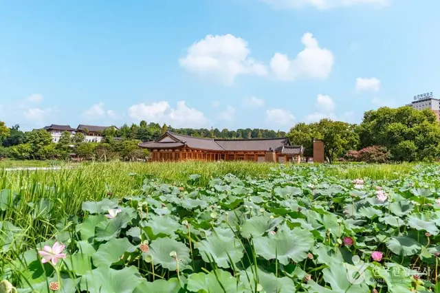 덕진공원 사진