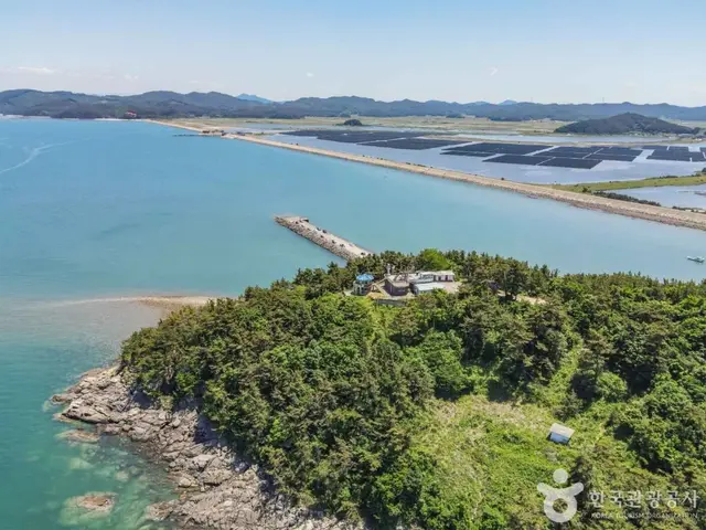 민어도 사진