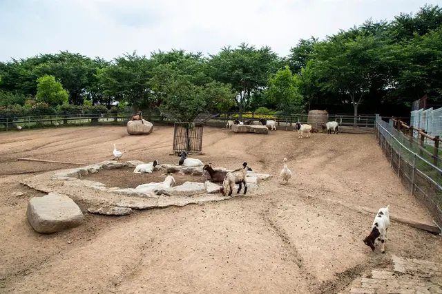아그로랜드 태신목장 사진