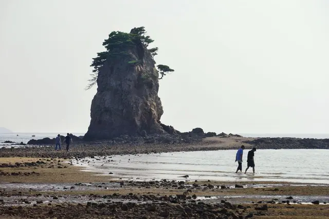꽃지해수욕장 사진