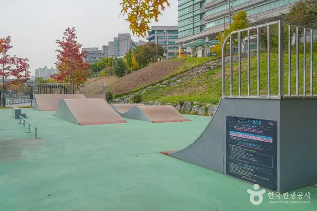 살곶이체육공원 사진