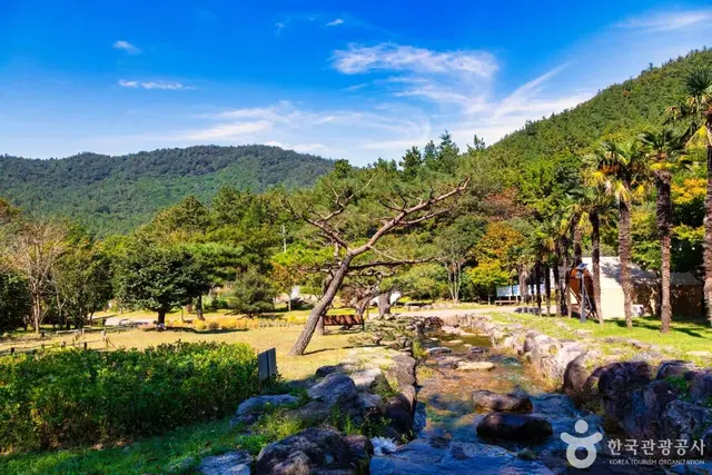 하늘빛수목원 사진