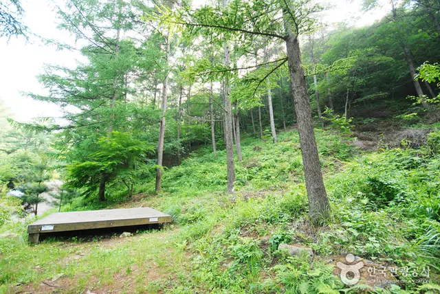 중미산자연휴양림 사진