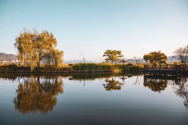 경북천년숲정원 사진