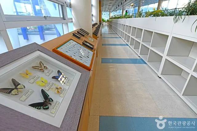 홍천생명건강과학관 사진