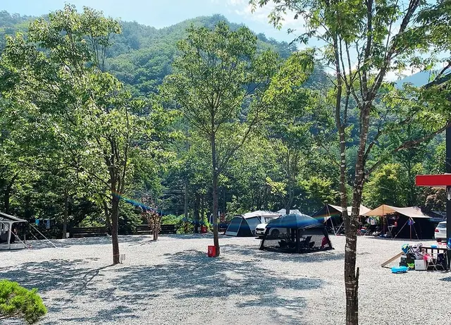 우리들캠핑장 사진