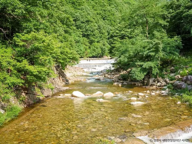 치산계곡 사진