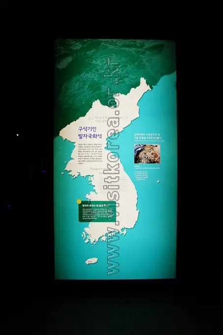 태백고생대자연사박물관 사진