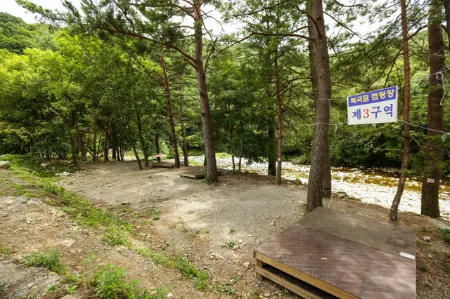 북극곰 캠핑&야영장 사진