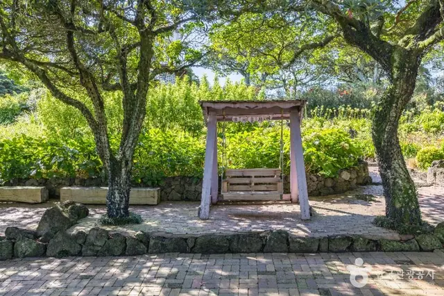 제주허브동산 사진