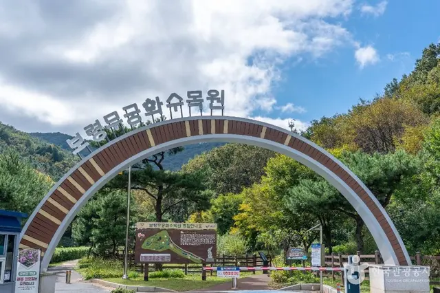 보령 무궁화수목원 사진