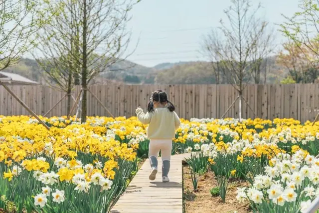 백설농부 사진