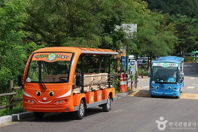월드컵공원 유아숲체험원 사진