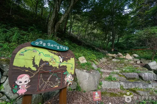 산삼 자연휴양림 사진