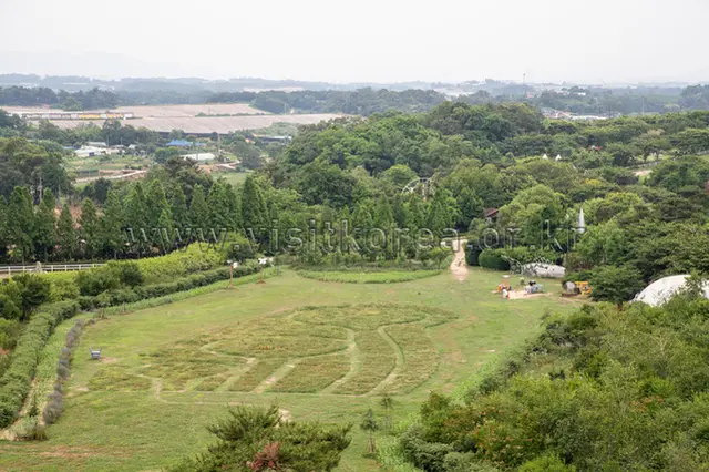 아그로랜드 태신목장 사진