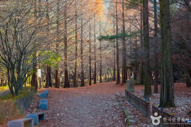 상소동 산림욕장 사진