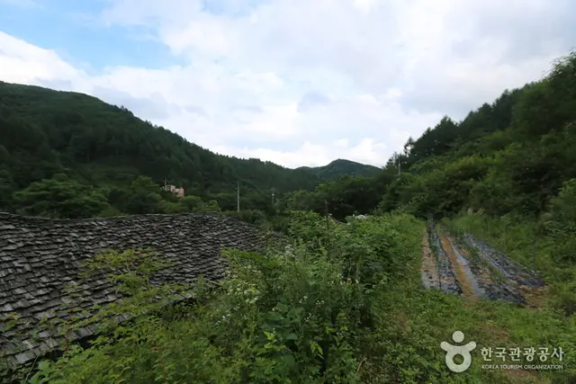 진동너와촌 해마루펜션 사진