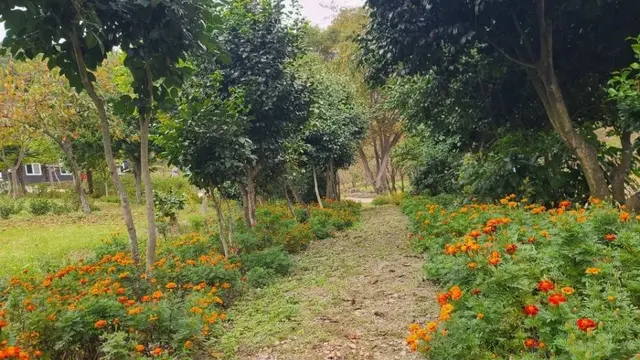 공룡자연농원 사진