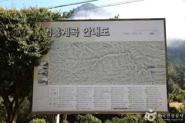 법흥계곡 사진
