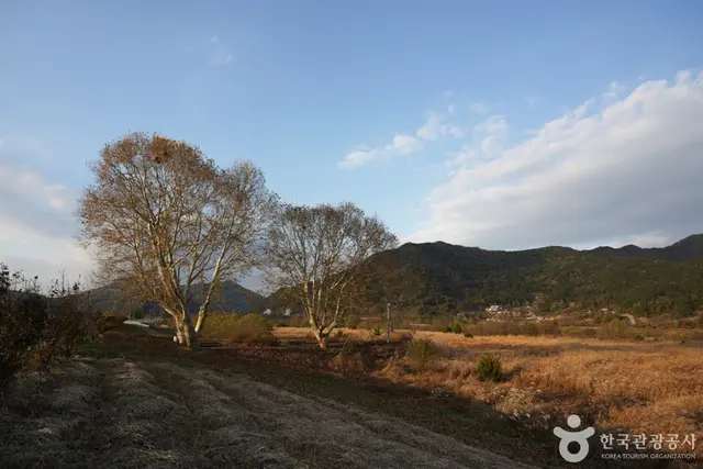 북면수변생태공원 사진