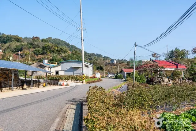 월악산 약초마을 사진