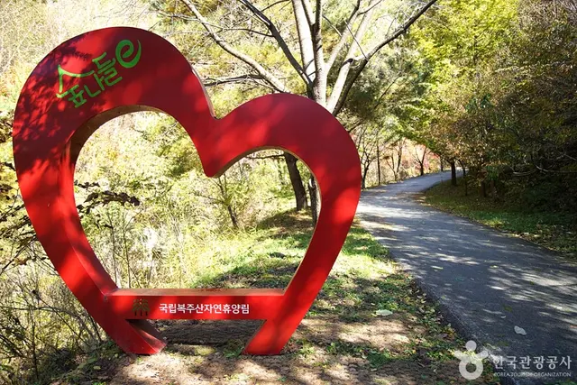 국립 복주산자연휴양림 사진