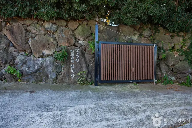맛동산 감귤체험농장 사진