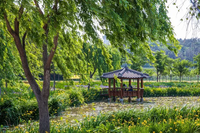 거창창포원 사진