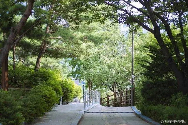 와룡공원 사진