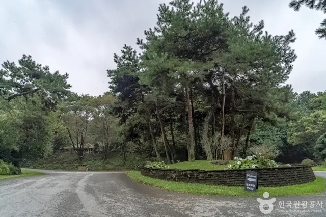 용인 청계목장 사진