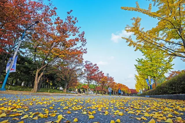 인천대공원 사진