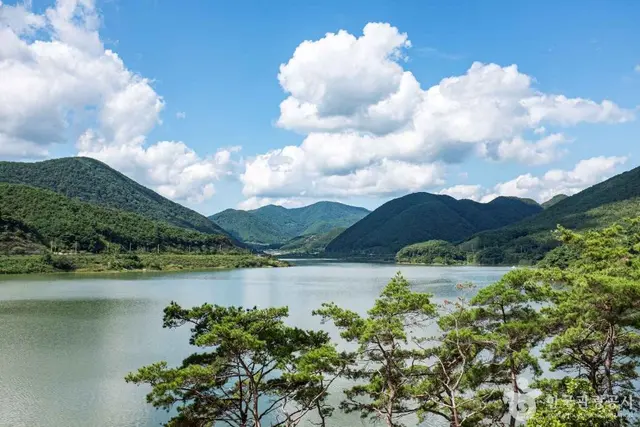보현산댐 출렁다리 사진