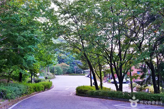수레의산자연휴양림 사진