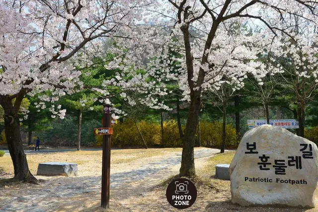 국립대전현충원 보훈둘레길 사진