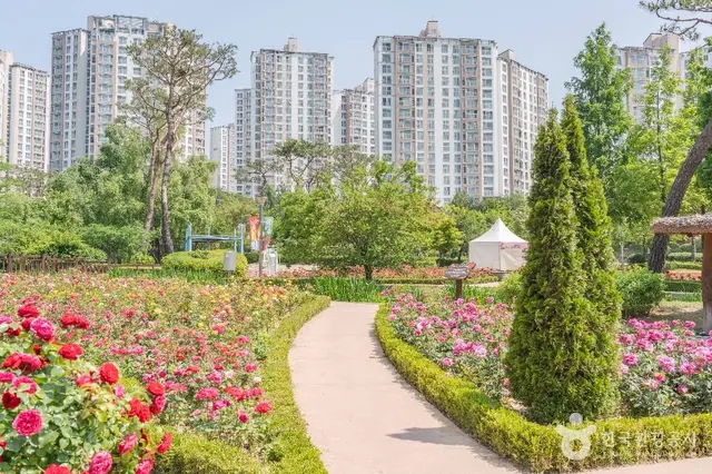 오산 고인돌공원 사진