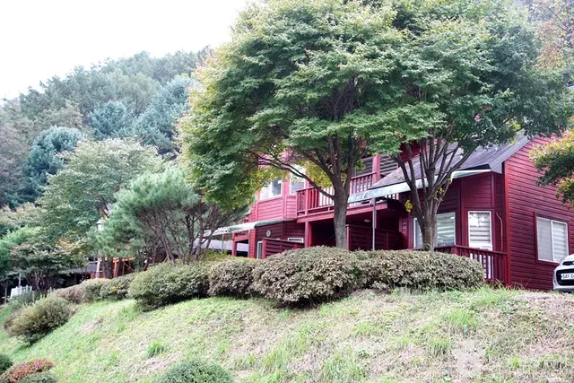 국립 백운산자연휴양림(원주) 사진