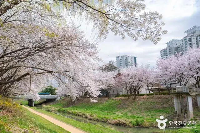 반월놀이공원 사진