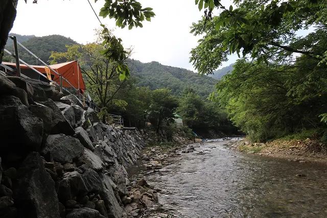 검산별빛캠핑장 사진