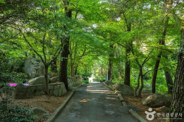 금강공원 사진