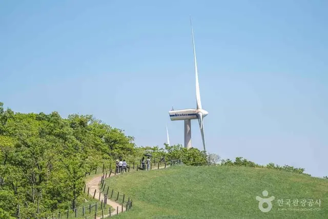 삼양라운드힐 사진
