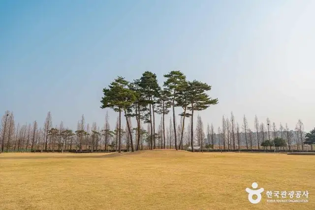 수성패밀리파크 사진
